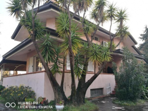  Villa Giuditta  Массароза